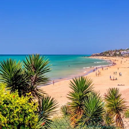 Sbh Taro كوستا كالما