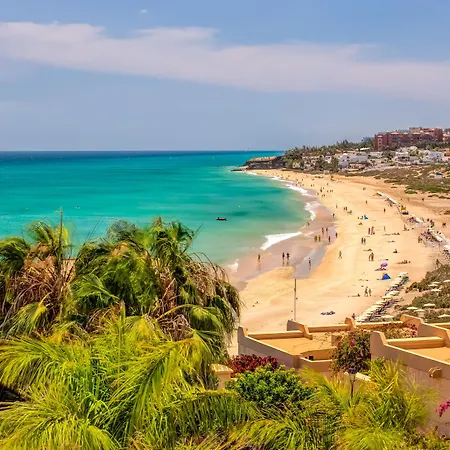 Sbh Taro コスタ・カルマ