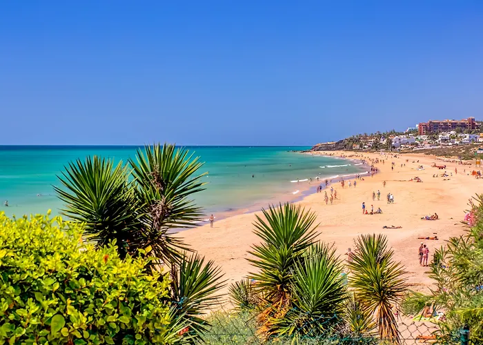 Sbh Taro Costa Calma