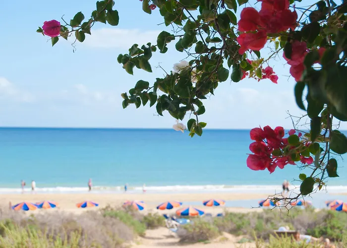 Sbh Taro Коста Калма